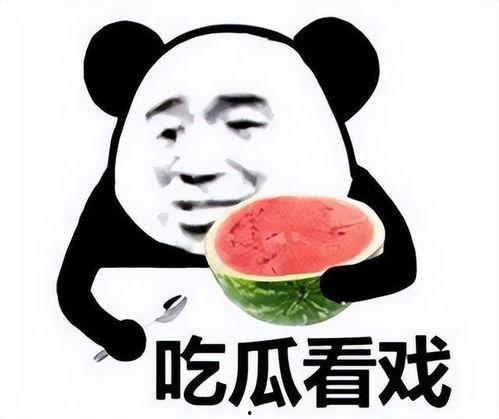 卖瓜博主吃瓜表情包