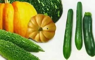 西风里的吃瓜,一场别开生面的夏日盛宴