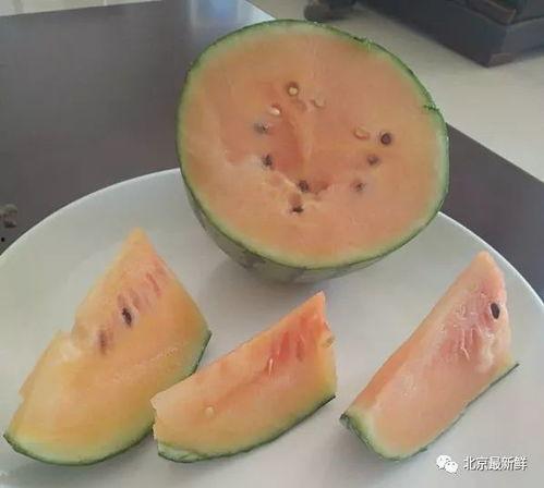吃不尽的瓜,吃不尽的瓜背后的故事