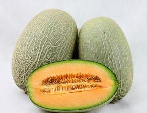 哈密瓜要吊瓜吗怎么吃,哈密瓜吊瓜技巧与美味食用指南