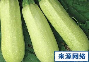怀孕吃整个白瓜,白瓜营养全解析，助力母婴健康
