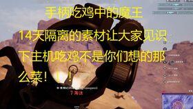 吃鸡小呆瓜,趣味横生的绝地求生之旅