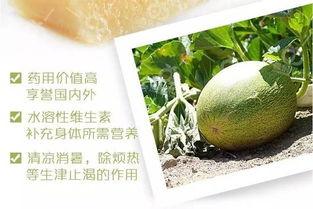 发烧后吃蜜瓜好吗