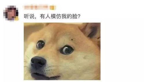 狗头 黑料 吃瓜,揭秘娱乐圈背后的真相