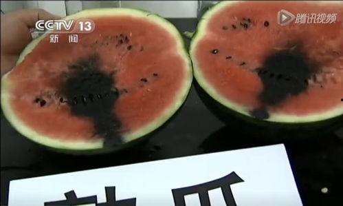 沈阳翻墙吃瓜视频,揭秘网络背后的真实故事