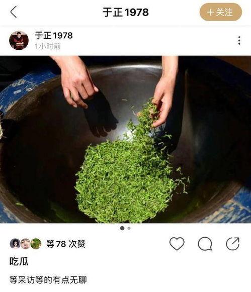 绿茶吃瓜完结,一场绿茶与瓜子的甜蜜邂逅