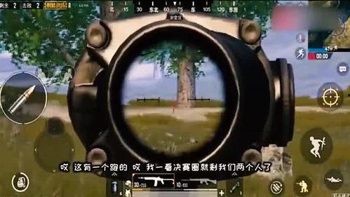 吃瓜猫抓鸡游戏,趣味横生的互动游戏体验