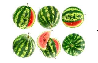 农夫吃瓜,一场意外的瓜界传奇