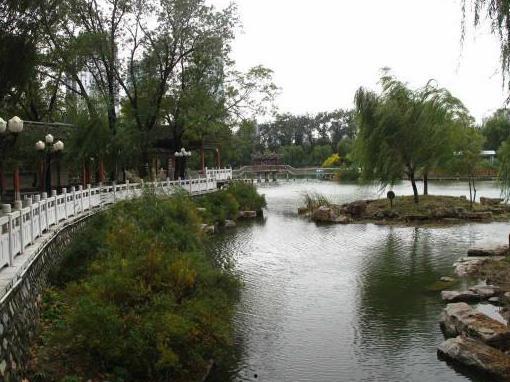 长安公园吃瓜事件,一场引发热议的公共行为争议