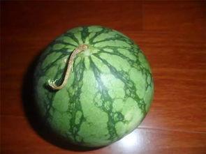 吃瓜了老黑,揭秘娱乐圈背后的秘密与真相