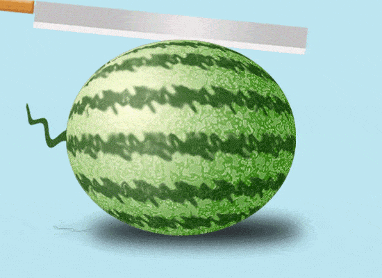 吃瓜的小虫,吃瓜小虫的趣味生活揭秘