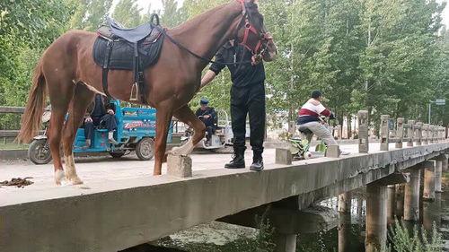 吃瓜台阶,揭秘网络热议背后的吃瓜台阶