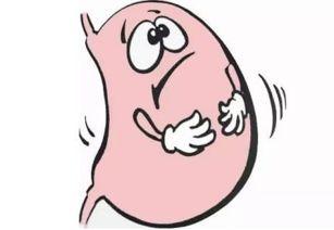 胃不好可以吃牛蹄瓜吗,牛蹄瓜——温和养胃的选择