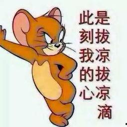 吃瓜群众类型汇总,不同类型汇总解析