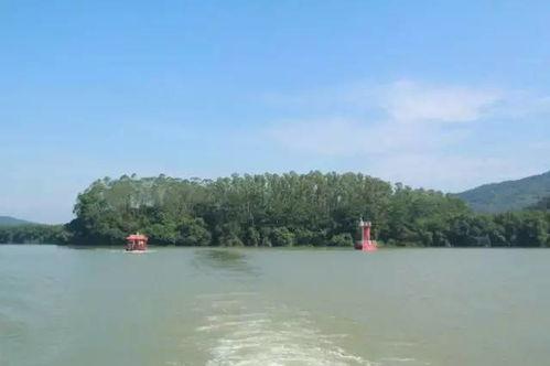 带你吃瓜湖心岛,带你吃瓜之旅