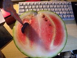 猛哥吃瓜,揭秘娱乐圈那些不为人知的幕后故事